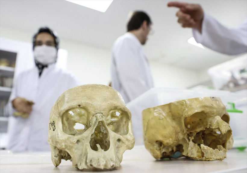 Türkiye kadavra ithal ediyor! Fiyatını duyan inanamadı: Diyanet fetva verdi - Resim: 1