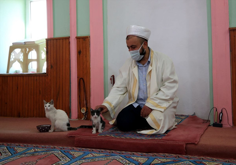 Hayvansever imam caminin kapılarını kedilere açtı - Resim: 4