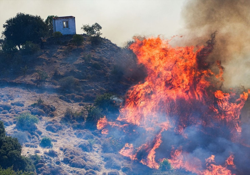 İzmir'de yangın yerleşim yerlerine ulaştı, her yeri duman sardı! Belediye başkanı uyardı: Evlerinizi boşaltın - Resim: 1