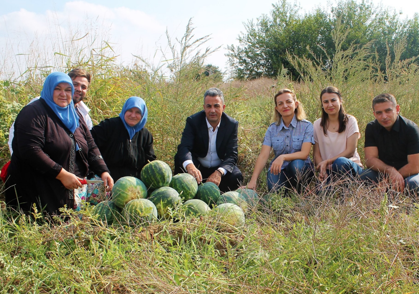 Bu karpuzlar bildiğiniz gibi değil içi sapsarı tohumları ise Osmanlı'dan kalma - Resim: 3