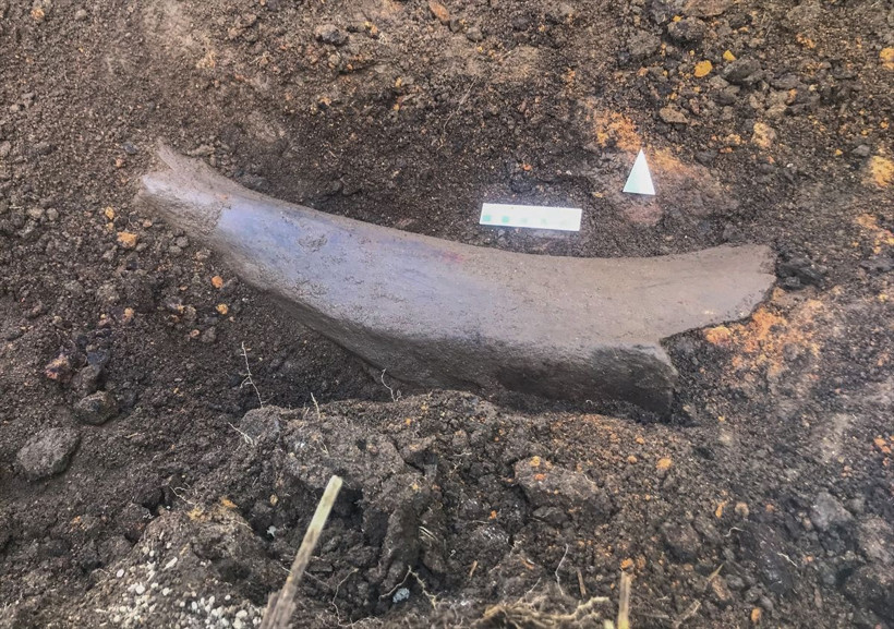 Kahramanmaraş'ta tarlasını sürerken pulluğa takıldı apar topar yetkilileri aradı - Resim: 3