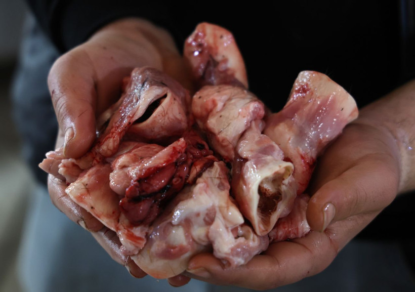 Adanalıların yeni gözdesi: ‘Koyun kulağı’ - Resim: 1