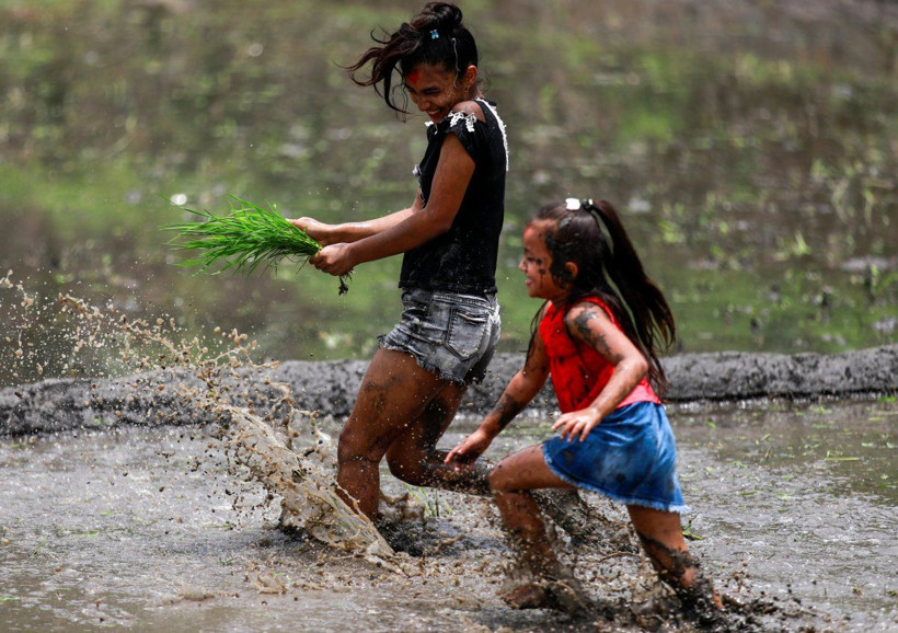 Nepal'de Ulusal Çeltik Günü kutlamaları: Birbirlerini çamura buladılar - Resim: 1