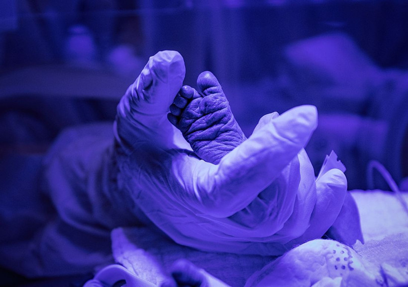 Tüm dünyada oylamaya açtı! İşte Anadolu Ajansı yılın fotoğrafları... - Resim: 2