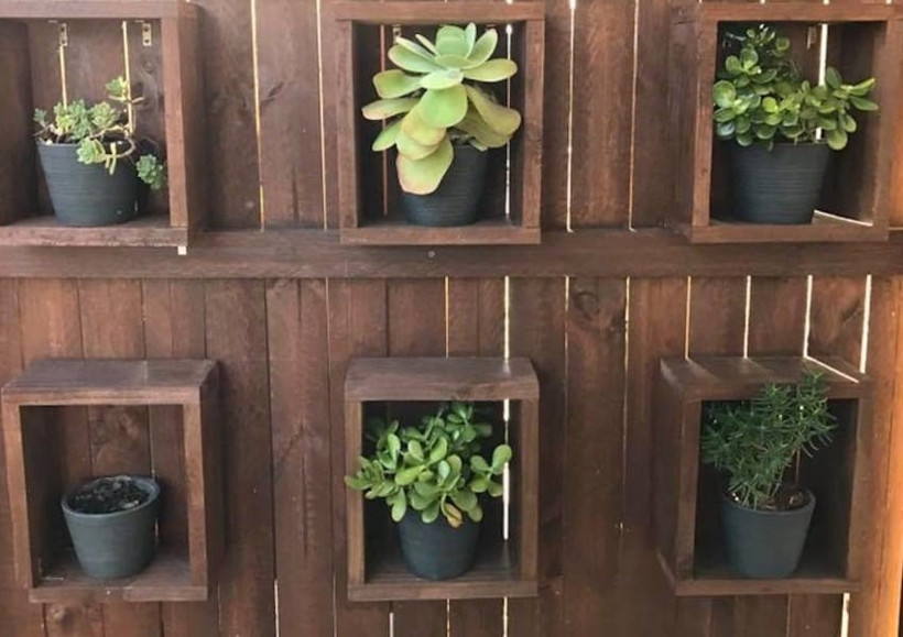 Fotoğraftaki 2 metrelik piton yılanını görebildiniz mi? - Resim: 2