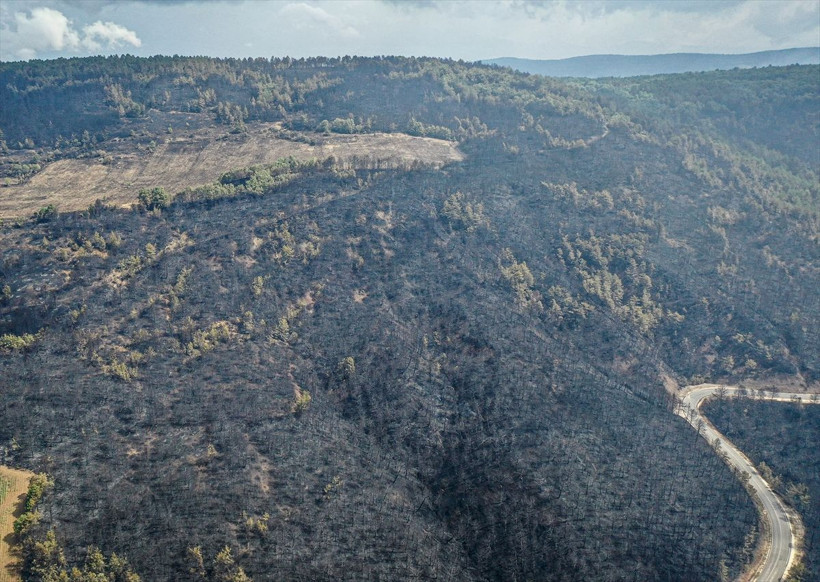 Bilecik'te orman yangınında zarar gören alanlar dronla görüntülendi - Resim: 2