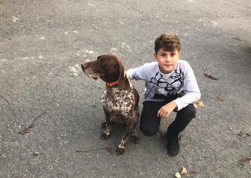 Sarıyer’de köpekleri salyangoz zehriyle zehirlediler ünlü isimlerden tepki yağdı - Resim: 1