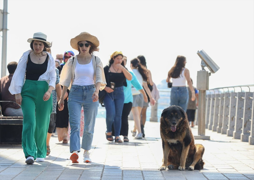 Sıcaklıklar 10 derece artacak! İl il beklenen sıcaklık değerlerini Meteoroloji açıkladı: İstanbul, Ankara, İzmir... - Resim: 4