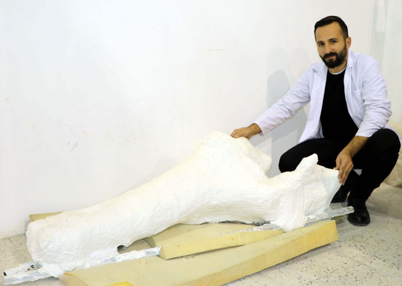 Kayseri'de veteriner yamaçta farketti yurt dışından bilim insanları geliyor - Resim: 2