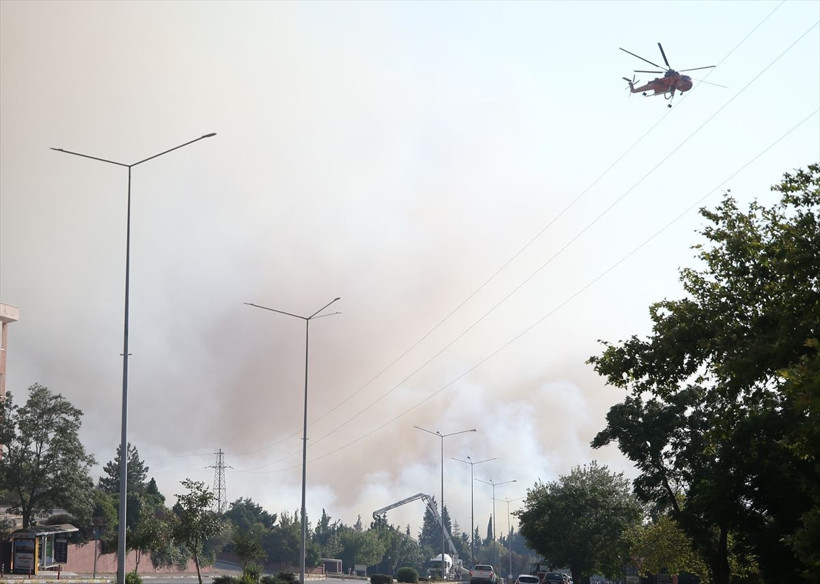 Çanakkale'deki orman yangınına ilişkin 4 kişi gözaltına alındı - Resim: 13