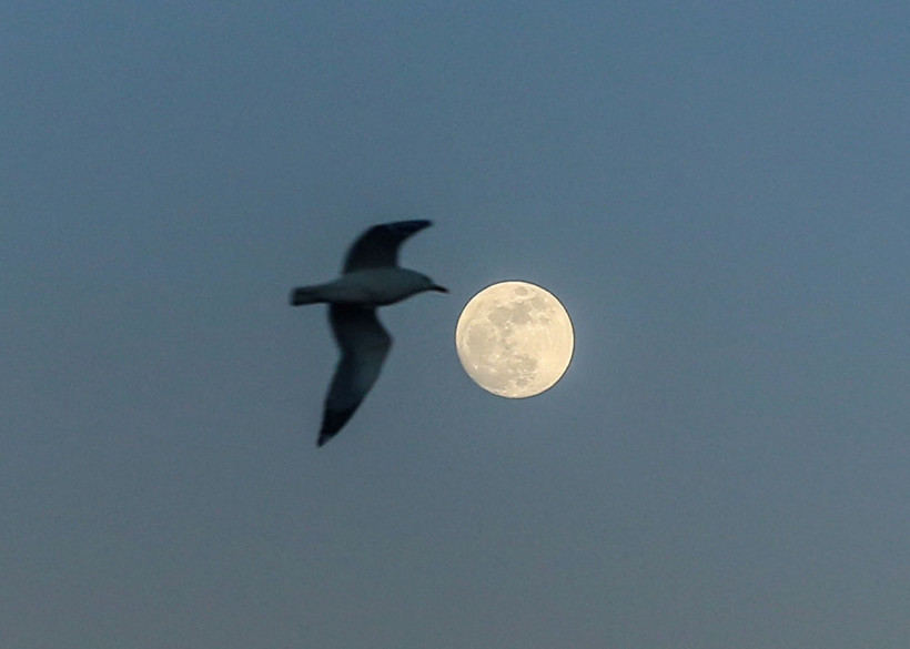 Türkiye'den muhteşem dolunay görüntüleri - Resim: 4