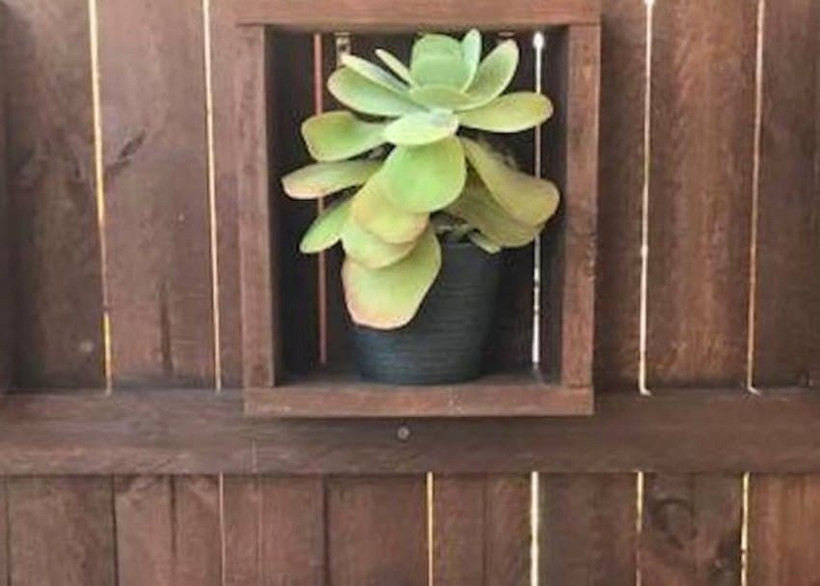 Fotoğraftaki 2 metrelik piton yılanını görebildiniz mi? - Resim: 3