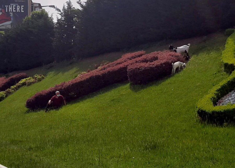 65 yaş üstü aşırı sıcağı dinlemedi sokaklara koştu! İşte sımsıcak görüntüler - Resim: 2