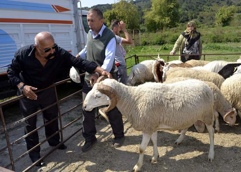 Kurban hakkında en önemli bilgi! Eti sakın dolaba... - Resim: 1