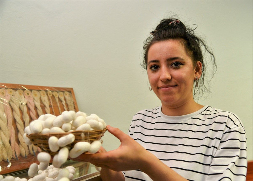 Bilecik'te 1 kutusundan asgari ücret kadar para kazanıyorlar! 3 kuşaktır bu işi yapıyorlar - Resim: 3