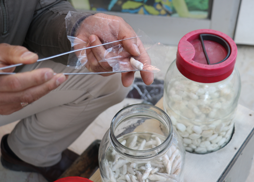 Bu sakız bir ay çiğnenebiliyor kilosu yarım altınla yarışıyor - Resim: 2