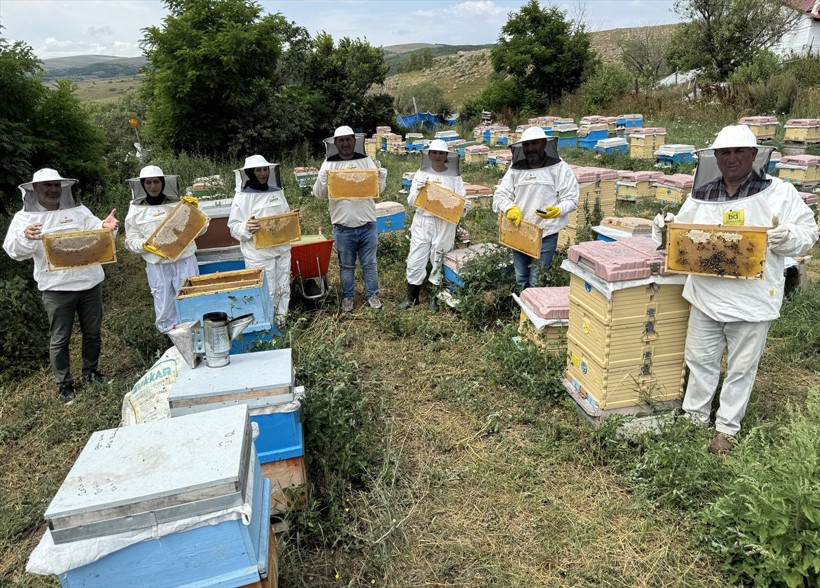 Ardahan'da bal sağımı başladı bu sezon kovanlar doldu taştı - Resim: 5