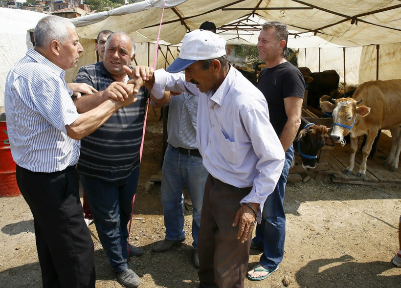 Kurbanlık fiyatları ne kadar 2016 rakamlarına bakın! - Resim: 4