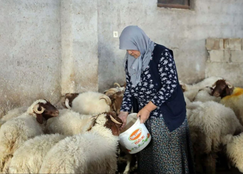 Gaziantep'te 'yapamazsın' diyenlere inat başardı! 3 taneyle başladı şimdi herkes onu konuşuyor - Resim: 4