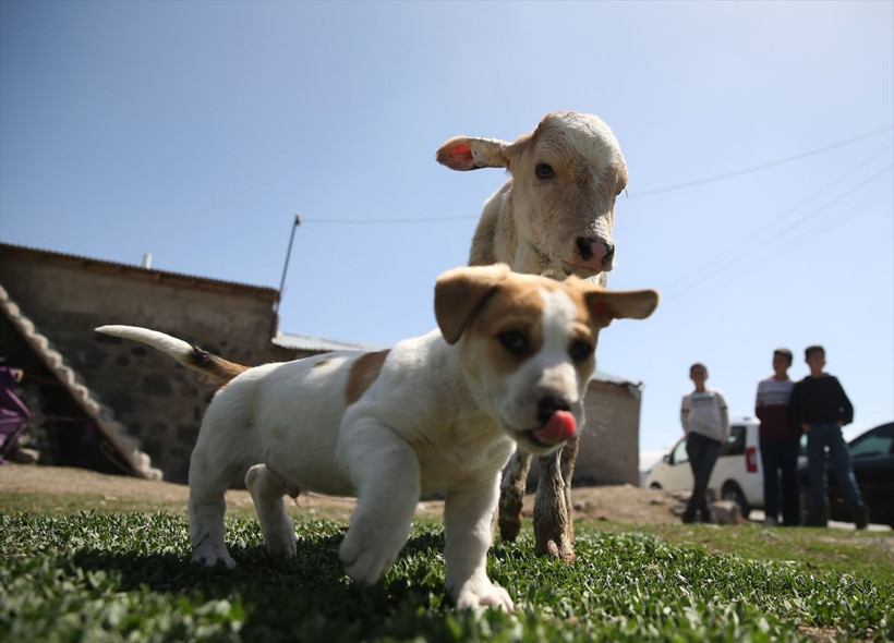 Zor günleri atlattı! Erzurum'da devlet desteğiyle kendi işinin patronu oldu - Resim: 2