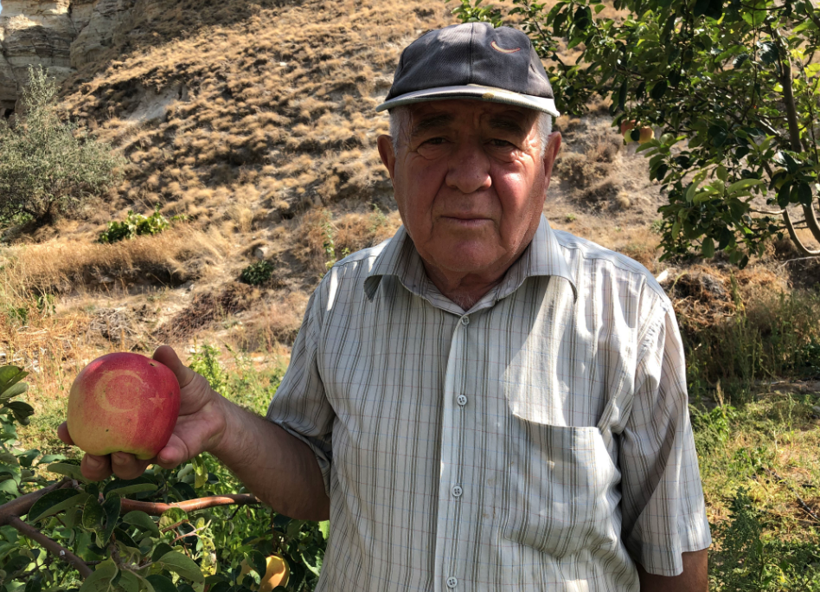 Nevşehirli vatandaş ay yıldızlı ayvalar yetiştiriyor görenler hayrete düşürüyor - Resim: 2