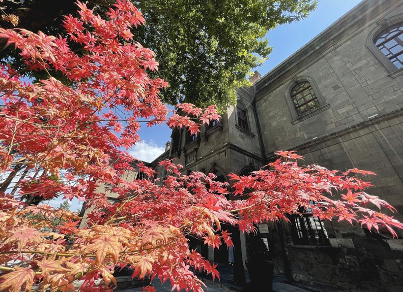 Yunan generali Trikopis'i esir alan askerin tüfeği ortaya çıktı meğer torunu... - Resim: 2