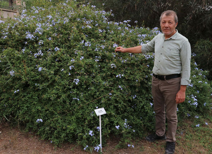 Uzmanı uyarıyor! Türkiye’den çalıp kaçırdıkları şifalı bitkileri ilaç olarak bize geri satıyorlar - Resim: 1