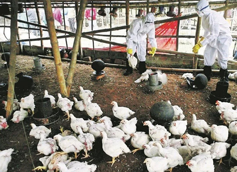 Korkutan ölümcül salgın uyarısı! İnsanların yarısını öldürüyor: En az 8 türü dünyada dolaşıyor - Resim: 2