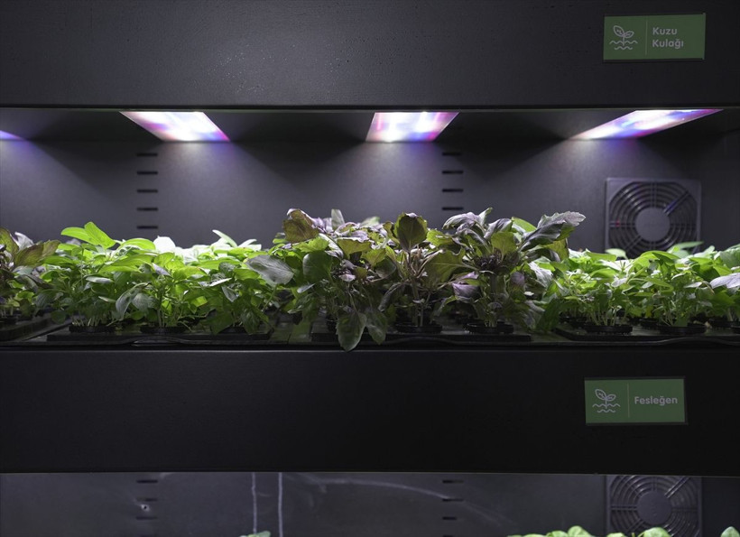 Hayalindeki topraksız tarım makinelerini üreten girişimcinin hedefi ihracat - Resim: 2