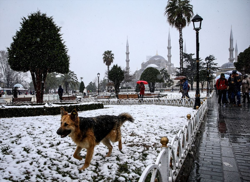 İstanbullular karın tadını çıkardı işte kartpostallık manzaralar - Resim: 3