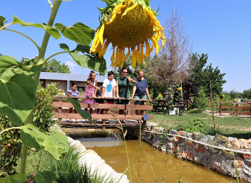 Tavuk çiftliğini ekoturizm tesisine dönüştürdü! İnsanları doğa ile buluşturdu - Resim: 2