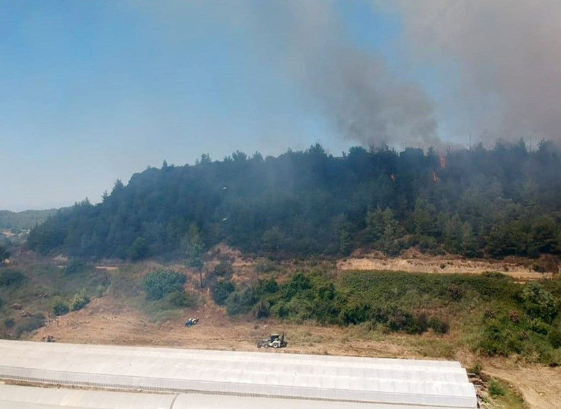 Antalya'da orman yangını! Yangında 1.5 hektarlık alan zarar gördü - Resim: 1