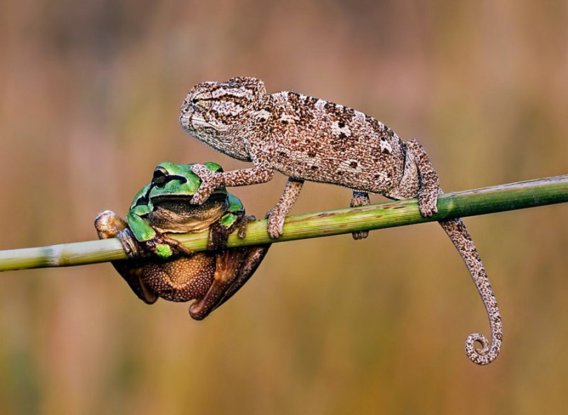 Bu fotoğraflarda Photoshop yok - Resim: 4