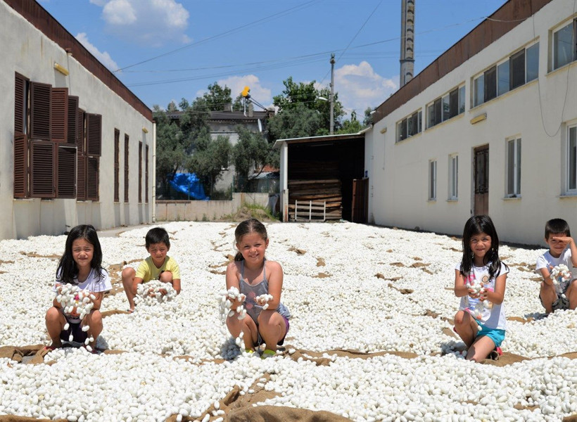 Bilecik'te 1 kutusundan asgari ücret kadar para kazanıyorlar! 3 kuşaktır bu işi yapıyorlar - Resim: 4