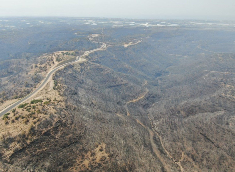 Türkiye'deki orman yangınları sürüyor! İşte il il son durum - Resim: 4
