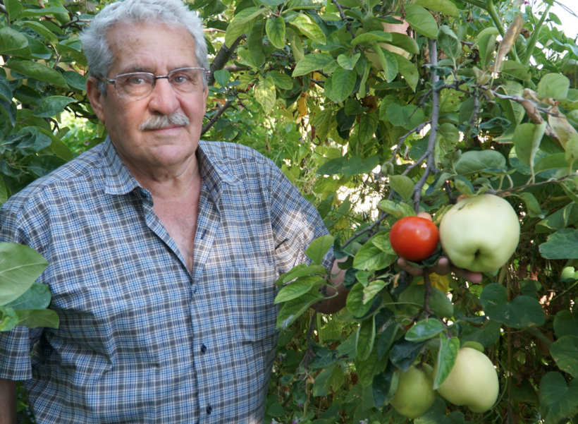 Eskişehir'de gizemli meyve! Adı ya da ne olduğu belli değil ama tadı güzel - Resim: 3