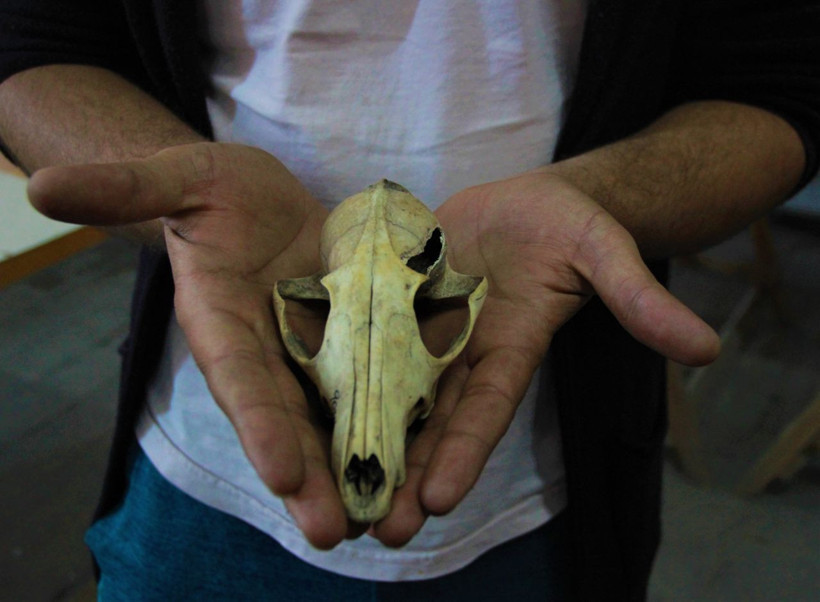 İnsanların ilginç beslenme alışkanlığı! Köpek etini pişirerek tüketiyorlarmış - Resim: 3