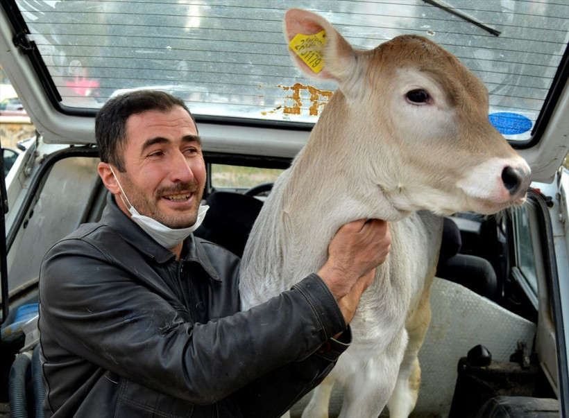 Sivas'ta 18 yıl sonra ikinci dana Ferhat vakasıı - Resim: 3
