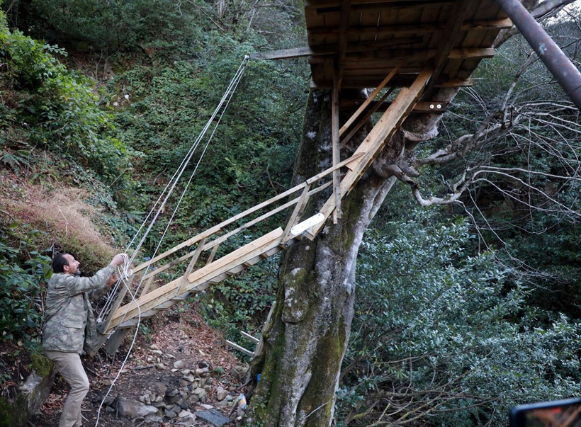 Rize'de stres atmak için yaptığı evi gören şaştı kaldı: Titreye titreye getirdik - Resim: 4