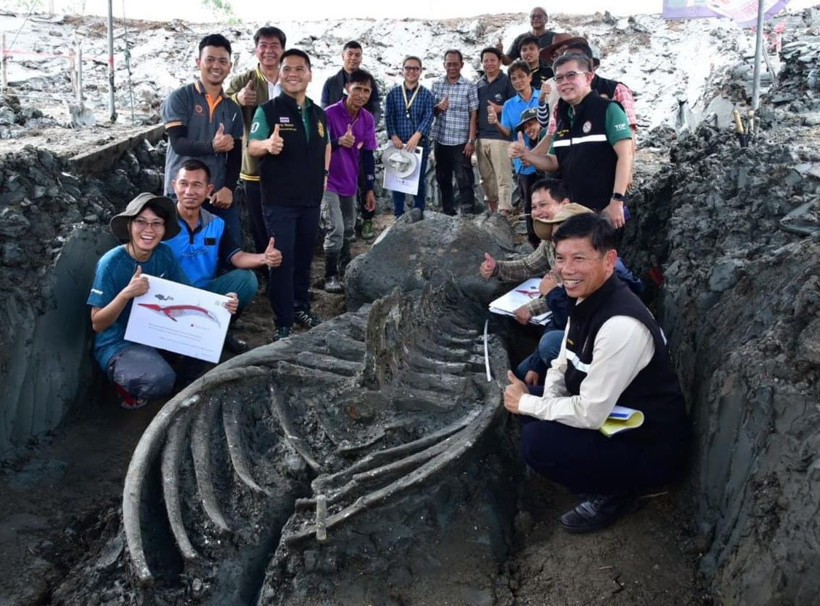 Tam 5 bin yıllık sadece kafatası bile 3 metre! Dünyayı hayrete düşürdü - Resim: 4