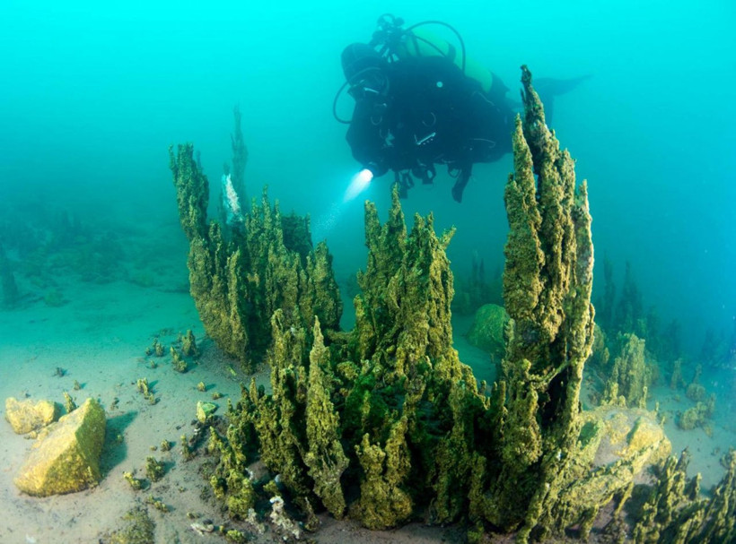 Van Gölü'nde keşfedilmeyi bekleyen sırlar için yurt içi ve yurt dışından geliyorlar - Resim: 2