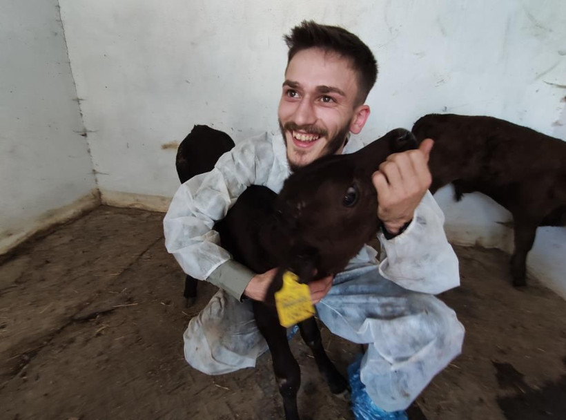Bursa'ya Japonya'dan hayvan getiriyorlar! Masaj yapılarak büyütülüyor kilo fiyatı şaşırttı - Resim: 4
