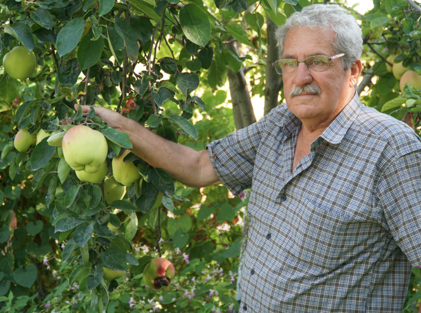 Eskişehir'de gizemli meyve! Adı ya da ne olduğu belli değil ama tadı güzel - Resim: 2