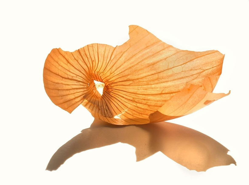 Sizde soğan kabuklarını çöpe mi atıyorsunuz? Kaynatıp için! - Resim: 1