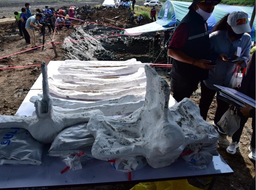 Tam 5 bin yıllık sadece kafatası bile 3 metre! Dünyayı hayrete düşürdü - Resim: 1