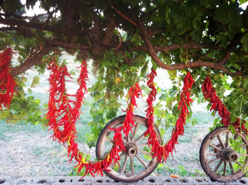 Muğla'da dünyaca ünlü yaylada maden arama başladı! Halk tepkisini koydu - Resim: 3