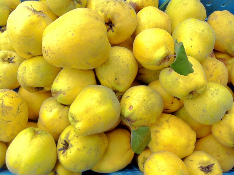 Cinsel gücü artırıyor çekirdeği şifa oluyor! - Resim: 4