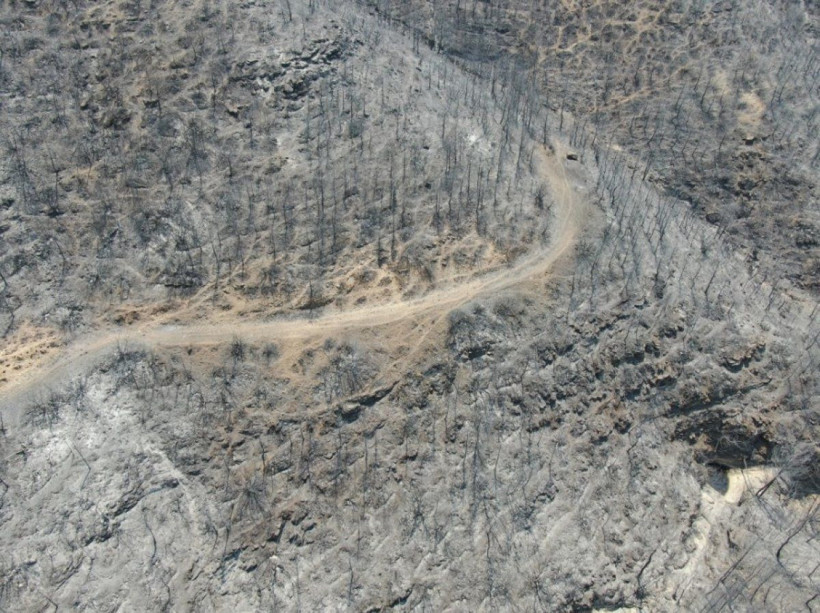 Türkiye'deki orman yangınları sürüyor! İşte il il son durum - Resim: 3