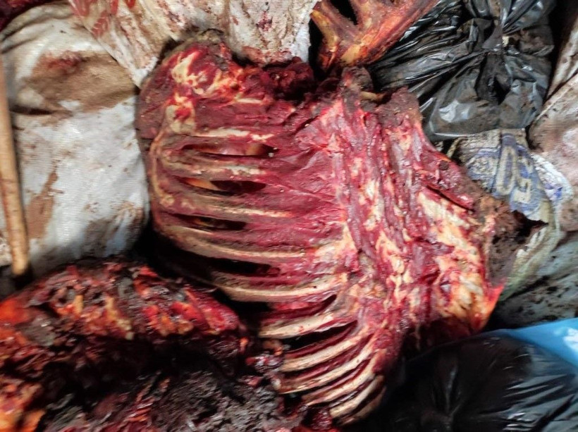 İzmir halkına çürümüş tonlarca at etini yedireceklerdi! 12 bin lira ceza ile kurtuldular - Resim: 1