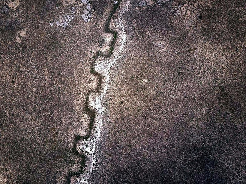 Türkiye'de tesadüfen bulundu - Resim: 1